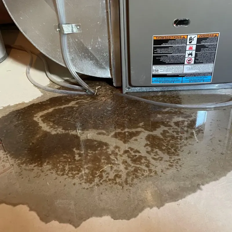 Pipe Burst and Leak Restoration in Mercersburg, PA