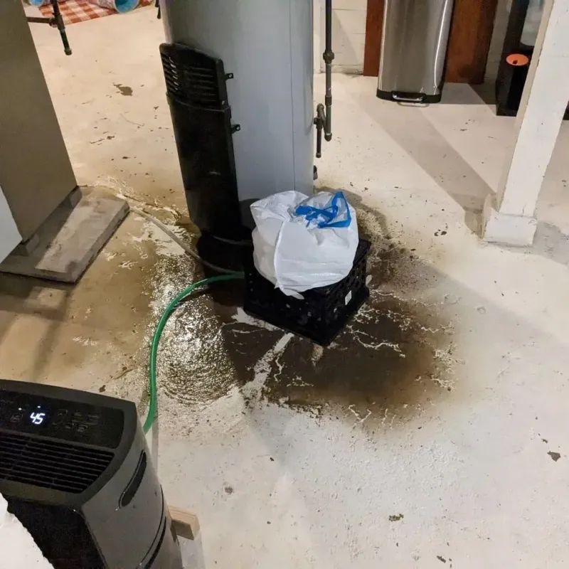 Sewage Backup Cleanup Service in Mercersburg, PA